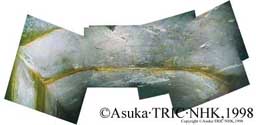 http://www.tric.u-tokai.ac.jp/hp2/new/mosaic